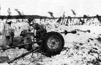 37мм противотанковая пушка с надкалиберной противотанковой гранатой в засаде под Харьковом. Февраль 1943 г.