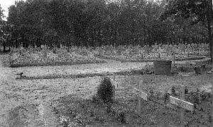 немецкое кладбище в Сокольниках