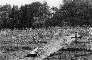 немецкое кладбище в Сокольниках